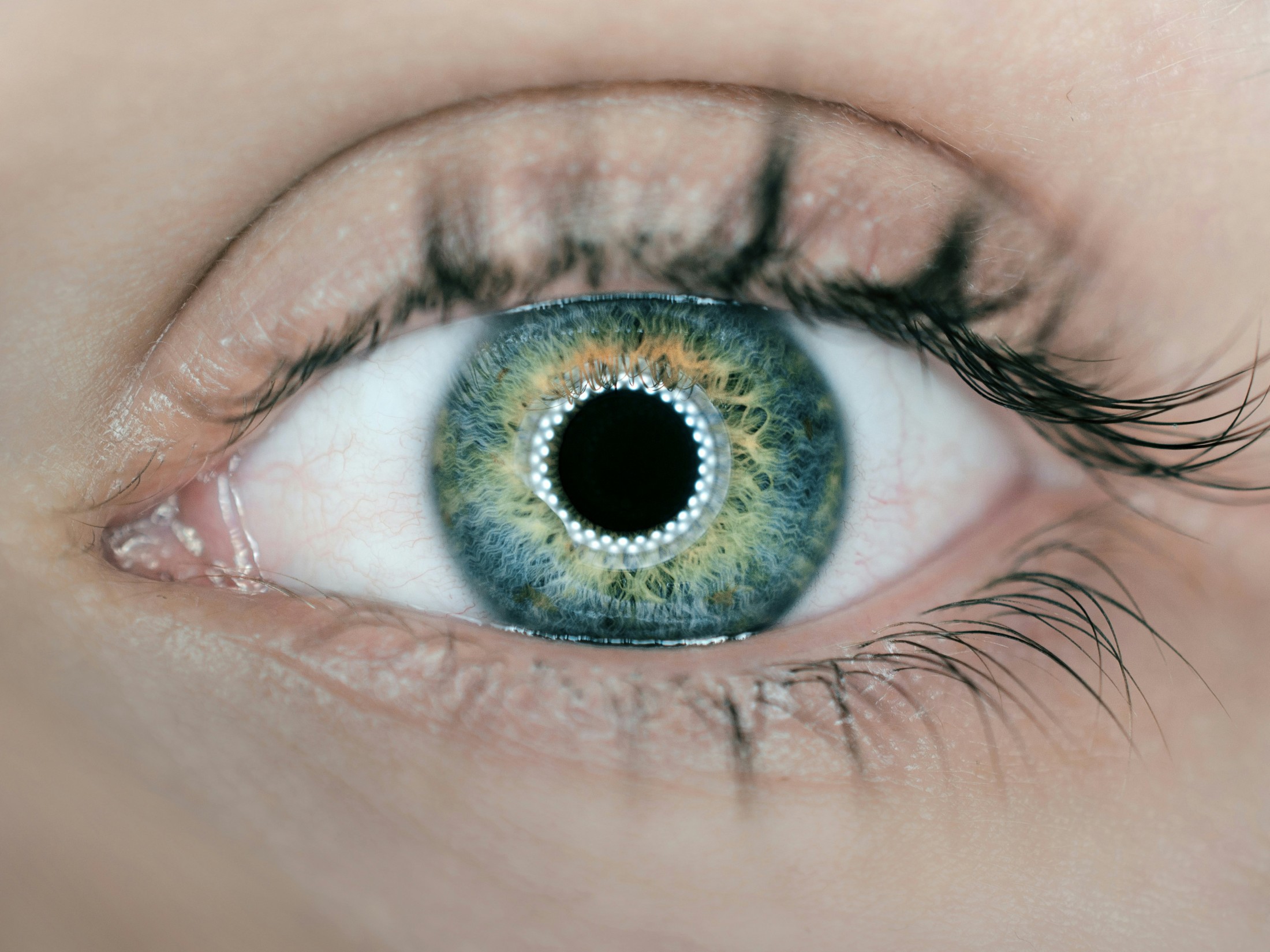 Meta FAIR advances human-like AI with five major releases